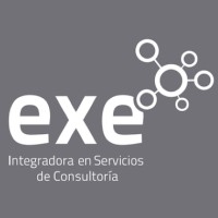EXE Consultores Asociados SA de CV Logo