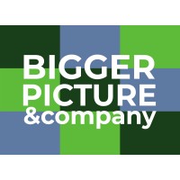 Bigger Picture &company Logo
