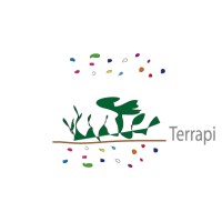 Terrapi World, Co. Ltd. Logo