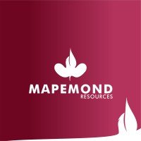 Mapemond Brand Consulting Logo