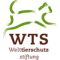 VETS UNITED Logo