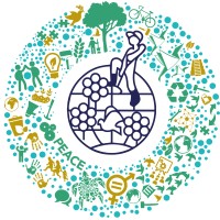 The Coordinating Commitee for International Voluntary Service CCIVS Logo