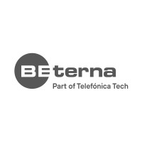 BE-terna Netherlands Logo