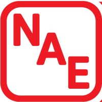Nicholas Auto Enterprises (Pty) Ltd Logo