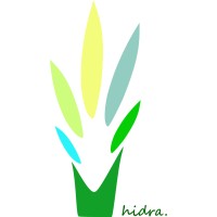 Hidra Innovate Logo
