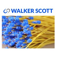 Walker Scott Ltd Logo
