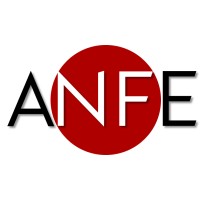 ANFE Consulting Logo