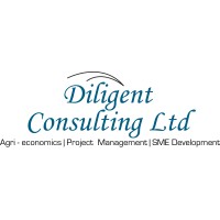 Diligent Consulting Limited Logo