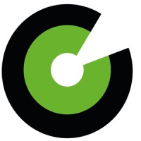 Bergman Vision Logo