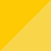 Portfolio Norfolk Logo