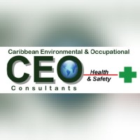 CEO Health and Safety Consultants Logo