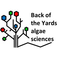 Back of the Yards algae sciences (BYAS) Logo