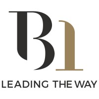 B1 Consultant Ltd Logo