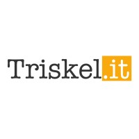 Triskel S.r.l. Logo