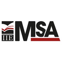 IIE MSA Logo