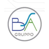 Gruppo BSA Logo