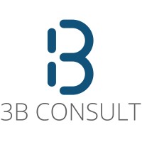 3B CONSULT Logo