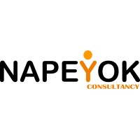 Napeyok Consultancy Logo