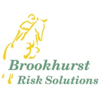 Brookhurst Risk Solutions Logo