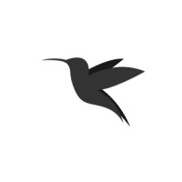 Hummingdrone Logo