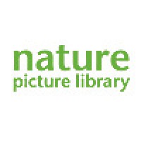 Nature Picture Library Logo