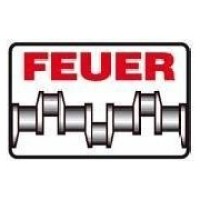 FEUER powertrain GmbH & Co. KG Logo