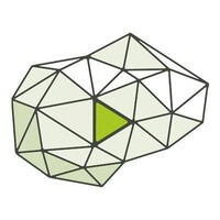 The Video Network Logo