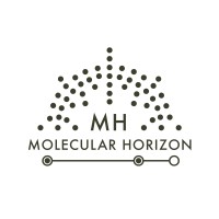 Molecular Horizon Logo