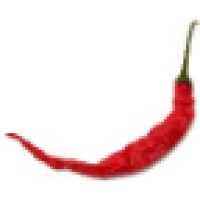 PepperBox - Spice up your business Logo