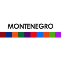 Montenegro Paper Logo