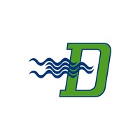 DIANFLEX Logo