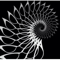 Surreal Eyewear Logo