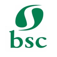 BSC Especialidades Químicas Logo