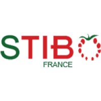 STIBO Logo