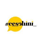 Ceschini Consultoria Logo