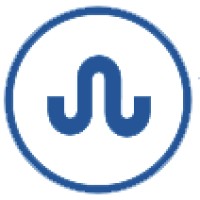 Blue Octopus Logo