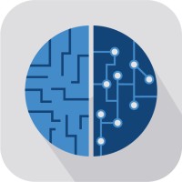 The Data Storytellers Logo