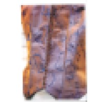 Bense Optigrade Service Logo