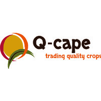 Q-cape b.v. Logo