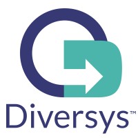 Diversys Software, Inc. Logo