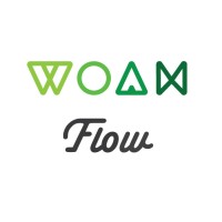 Woah Flow Logo