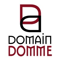 Domain Domme LLC Logo