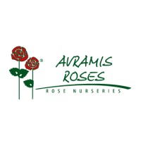 Avramis Roses Co Logo