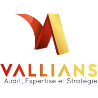 Vallians AES Logo