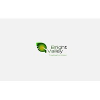 Bright Valley Logo