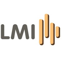 LMI Gestión Financiera Logo