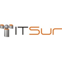 ITsur Logo