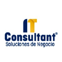 IT Consultant Logo