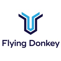 Flying Donkey IT Logo