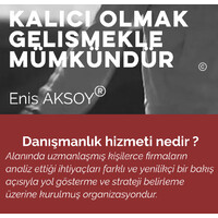 Enis Aksoy Consultancy @eaksoyconsult Logo